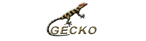 gecko
