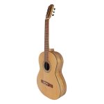 gitar-parsi-P70-4-1
