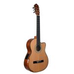 گیتار Ayda مدل SCB-100C