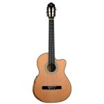 گیتار Ayda مدل SCR-100C